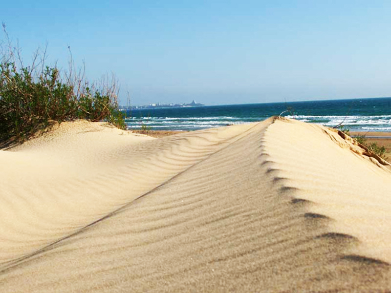 В Анапе откроют новые пляжи уже в 2013 году