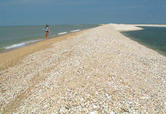 В Ейске на берегу моря обнаружены останки мужчины утонувшего летом