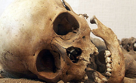 В Геленджике местные жители нашли кости человека