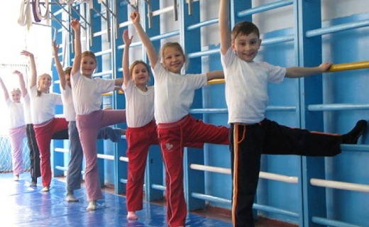 В Краснодаре пройдет специализированный семинар для учителей физической кул ...