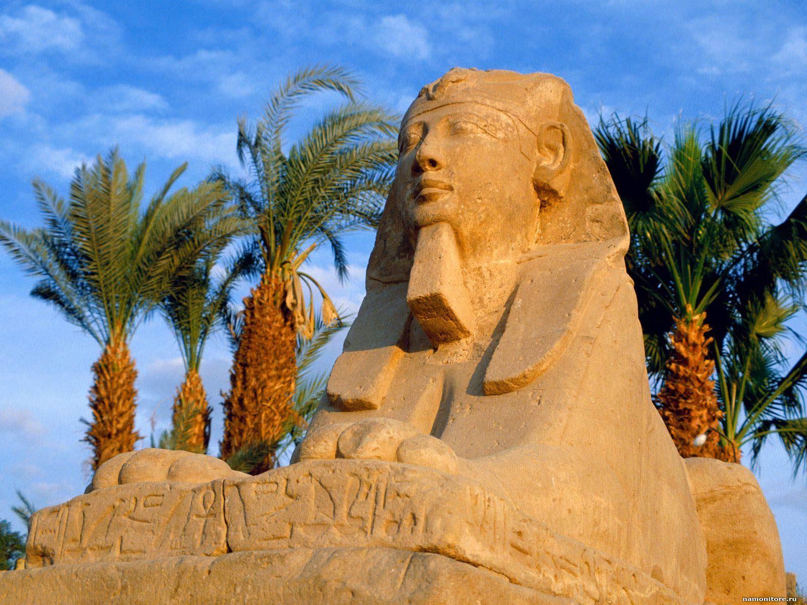 Отдых в Египте – безопасность и никаких ограничений!