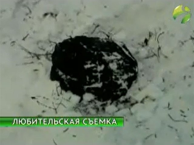10-килограмовый кусок метеорита был найден оленеводами на Ямале