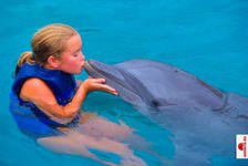 Детки очень любят дельфинов…