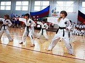Всероссийский образовательный спортивный центр создадут в Сочи