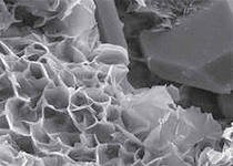 Нано-частицы серебра способны подавлять более 700 видов микроорганизмов.